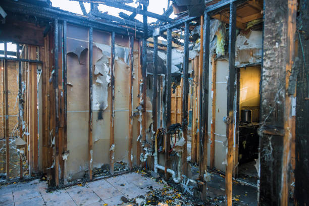 Professional Smoke Odor Removal technician working in Roanoke, TX